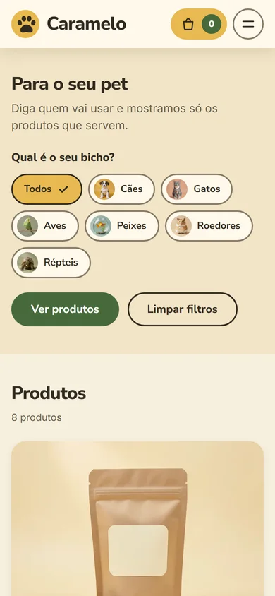 O mesmo protótipo no celular
